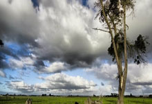 九游-关于射击邀请赛上演强强对话，天山猎隼队读秒扳平南城银狐队，团队配合流畅；本土核心状态回升的信息